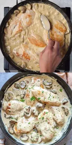 CREAMY MUSHROOM CHICKEN RECIPE