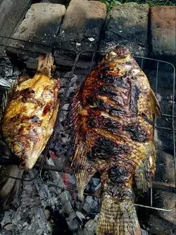 Bakar