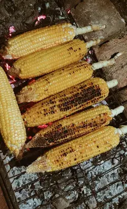 Jagung bakar