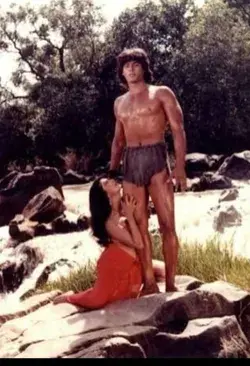 Kimi katkar.... Hemant birje
Tarzan 1985