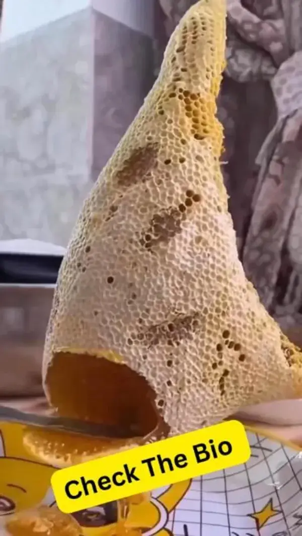 🍯🍯🍯Satisfying Honey Comb