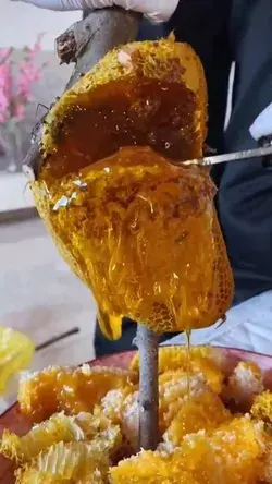 satisfying honeycomb cutting