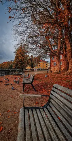 Automen in Sweden