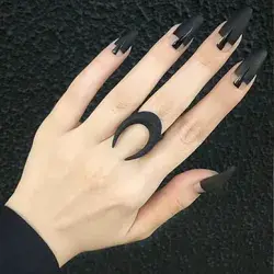 Elf Queen Style Black Frosted Nail Art