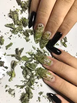 Nails and Indian grass