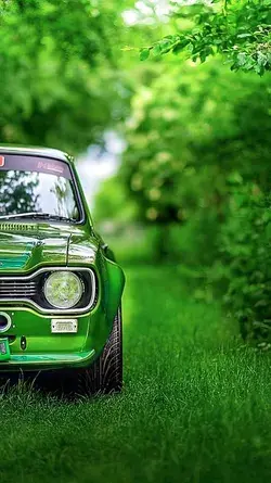 cars and nature