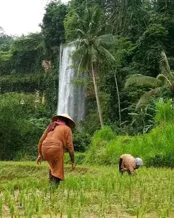 Eksotisnya Curug Sawer Mandalamekar