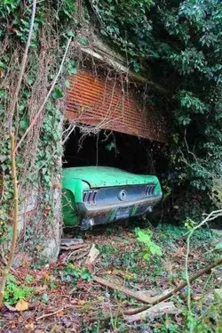 10+ Estranged Locations Where Vehicles Are Abandoned