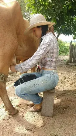 Cowgirl