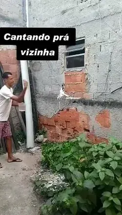 Essa e pra vizinha