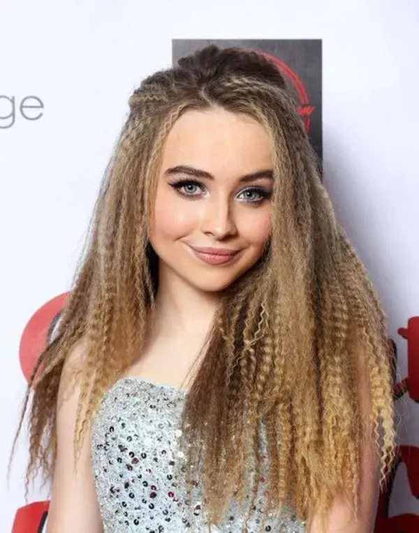 Celebrity Crimped Hair Inspo