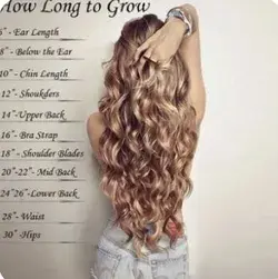 1/2" growth per month to 1/2" in 4 days!!! [Archive] - The Long Hair Community Discussion Boards