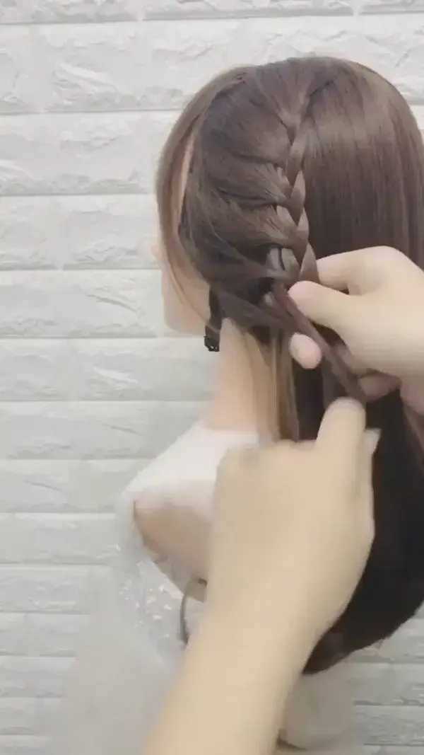 Braided hairstyle