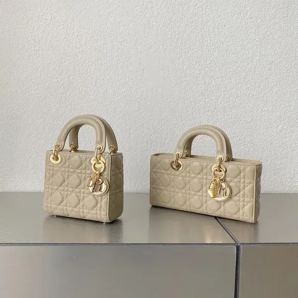 Dior Bag