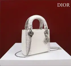 Dior 17×15×7