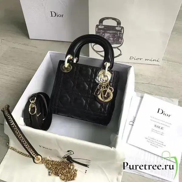 CohotBag lady dior mini