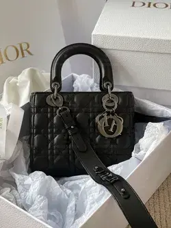 Dior my ABC bag