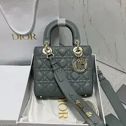 Dior Bag