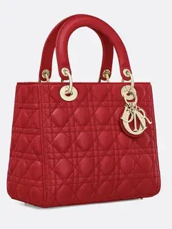 Dior Handbags 