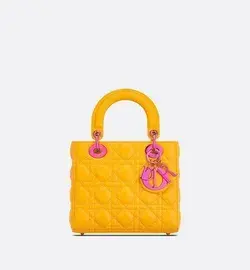 Dior Bag