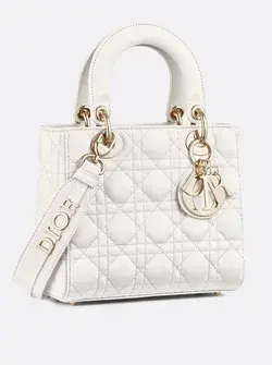 Custom Dior Handbags 
