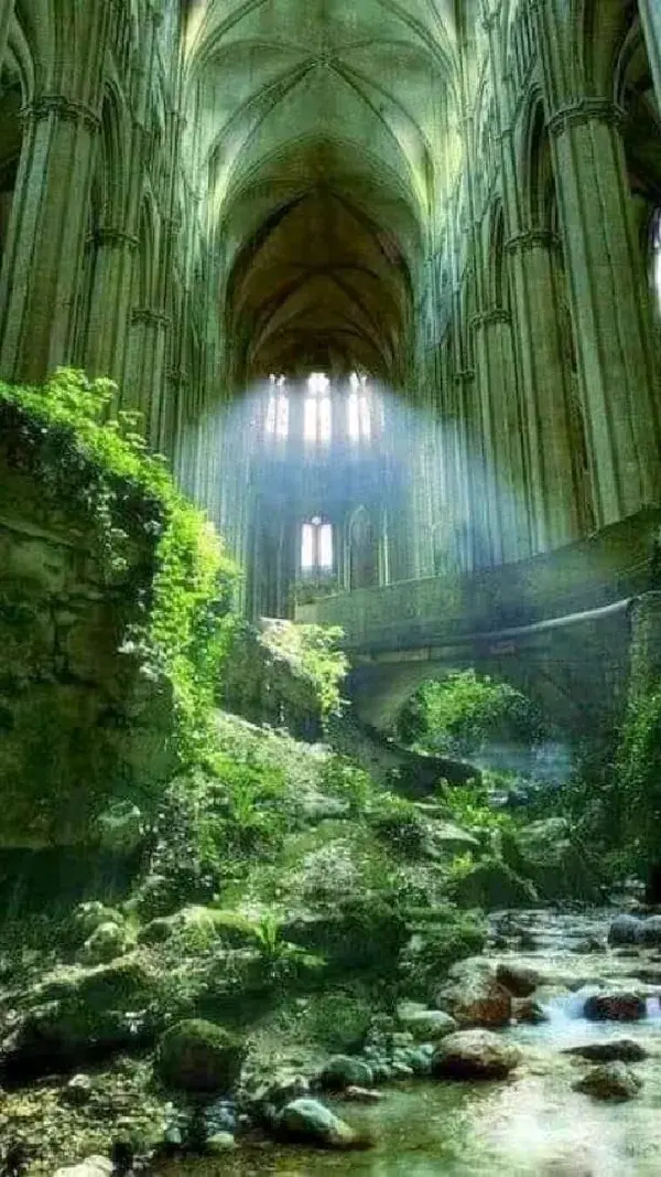 Abandoned church of ST Étienne France