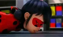 Ladybug