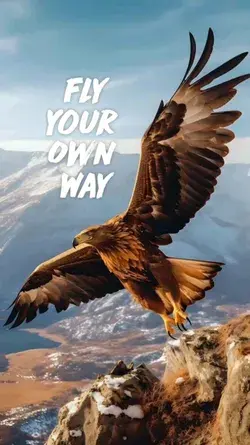 Fly your  Own  Way