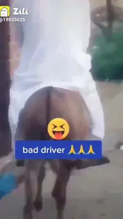 bad driver🤣🤣🤣🤣