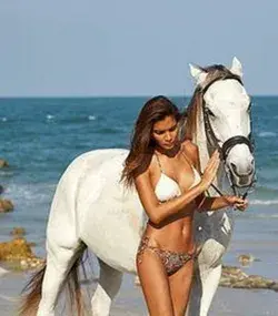 Horse on the Beach