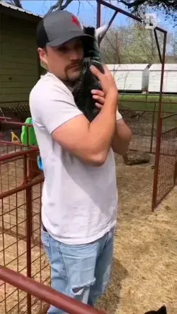 wonderful caretaker at goat sanctuary hugging each rescue one by one, adorable goat videos