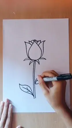 rose drawing with pen