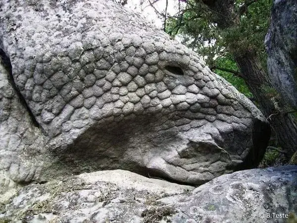 Fontainebleau forest, Francia