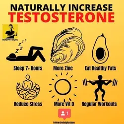 Naturally Increase Testosterone