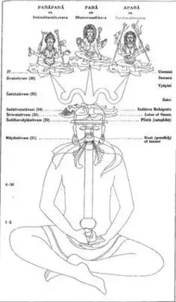 Blog - Sri Kamakoti Mandali