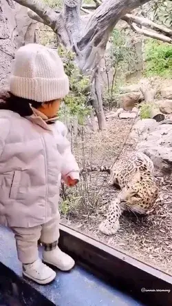 cute baby girl with tiger
