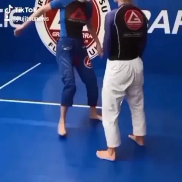 Beautiful Jiu Jitsu Back take technque.