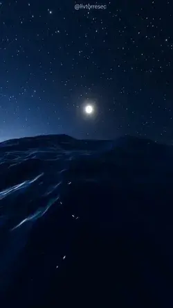 LIVE WALLPAPER |MOON | NIGHT| STARS | BLUE | TIKTOK | By @livtorresec