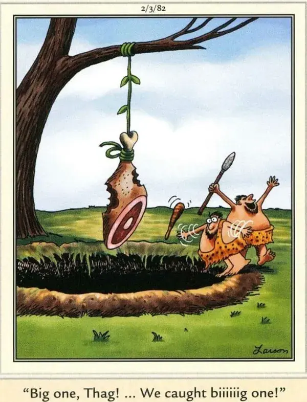 THE FAR SIDE