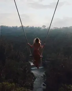 Those swings in the Bali Jungle 🌴😍 Would you do it?