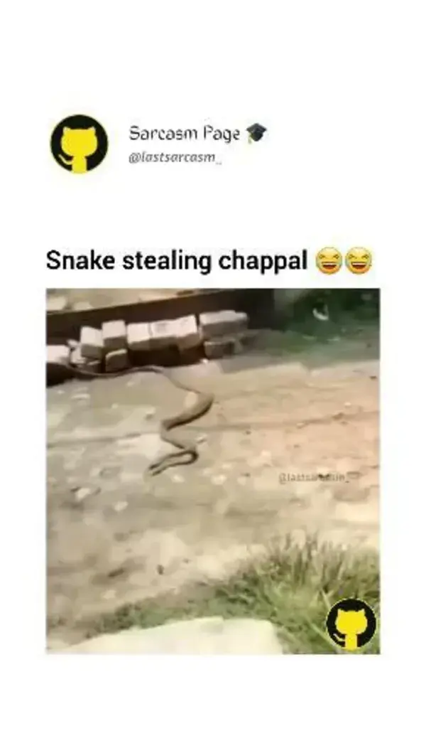 Snake Stealing chappal 😂😂 Funny Meme #memes