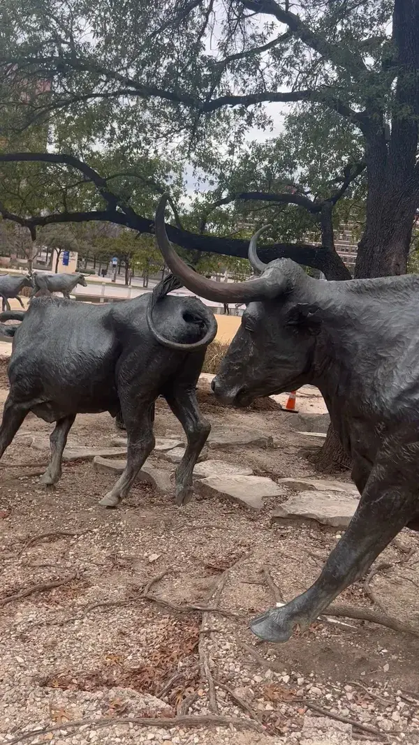 Pioneer Plaza Dallas Bull monuments