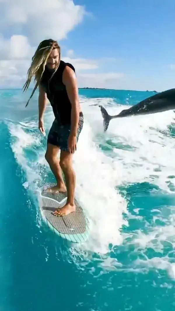 Surfing with the dolphin friend at Turks and Caicos Islands, UK