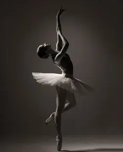 Ballet lover 