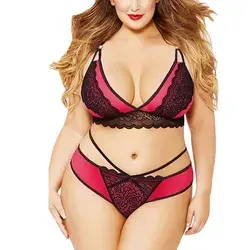 Women Underwear Set Plus Size Lace Mesh Sexy Lingerie Transparent Temptation Female Bra Sensual Lingerie Woman Bras Brief Sets - black / 4XL / United States