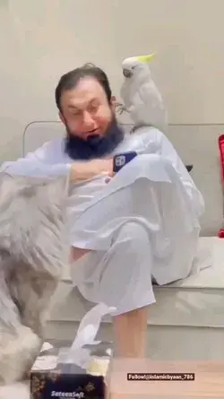 Maulana Tariq Jameel ✨😍🤩❣️