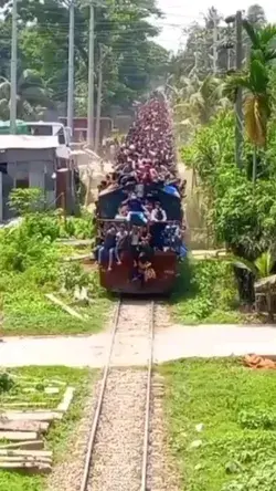 Wild rush hour in Bangladesh 🇧🇩  📍Bangladesh  #nationalgeographic
