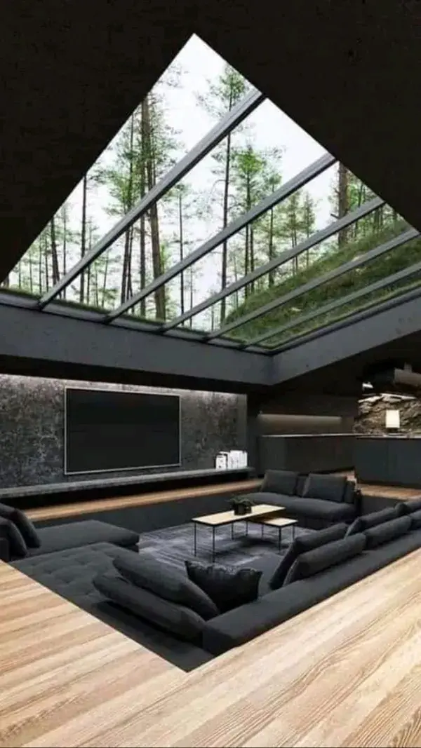 black color modern villa design