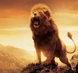 Lion Roar Images: Capturing the Fierce and Powerful Expression