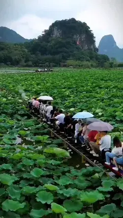 Lose yourself in the breathtaking beauty of Guangdong, China 🌿🏞️